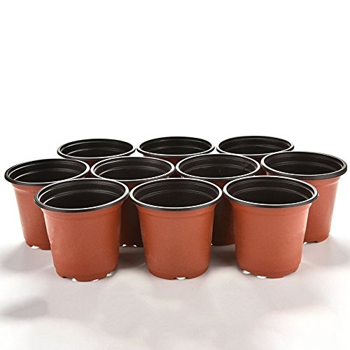 100 macetas de plástico de 10 cm para plantas de guardería, macetas, plantas, contenedores, semillas