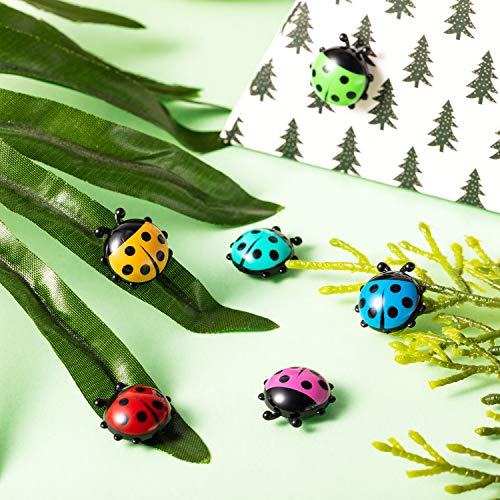 18 Piezas Mini Imanes de Nevera con Forma de Mariquita Lindos Imanes de Cocina de Oficina para Oficona Casa Pizarras Blancas Gabinete de Cerradura Decoración de Fotos