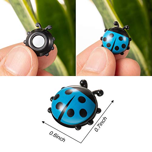 18 Piezas Mini Imanes de Nevera con Forma de Mariquita Lindos Imanes de Cocina de Oficina para Oficona Casa Pizarras Blancas Gabinete de Cerradura Decoración de Fotos