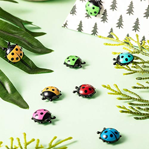 18 Piezas Mini Imanes de Nevera con Forma de Mariquita Lindos Imanes de Cocina de Oficina para Oficona Casa Pizarras Blancas Gabinete de Cerradura Decoración de Fotos