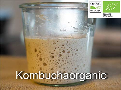 38 Year Old Genuine Lake District Organic Wild Yeast sourd ough Starter Rye whol emeal Bread Starter – 80 g