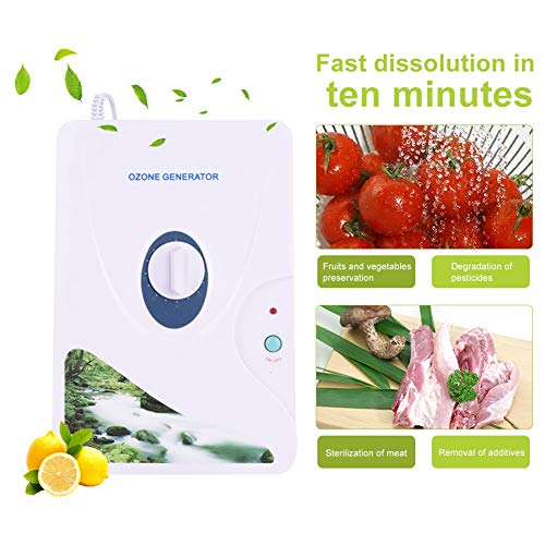 600 mg/h Digital de Ozono generador de ozono desintoxicación Máquinas Para frutas verduras carne Agua dulce Hydro ponics