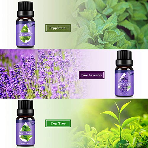 Aceites Esenciales, 100% Puros y Naturales Aromaterapia Aceites Esenciales para Humidificador (Lavanda, Hierba de Limón, Menta, Eucalipto, Árbol de té, Naranja dulce) 6 x 10 ml