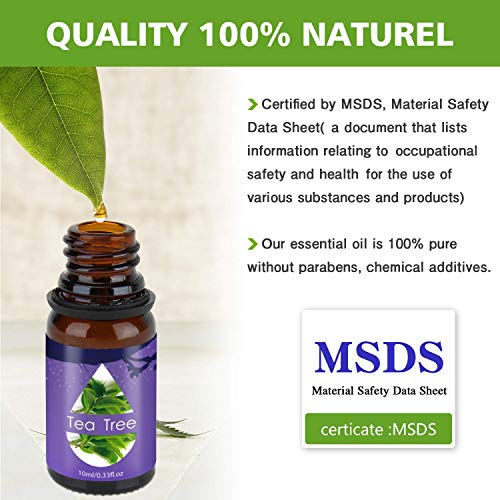 Aceites Esenciales, 100% Puros y Naturales Aromaterapia Aceites Esenciales para Humidificador (Lavanda, Hierba de Limón, Menta, Eucalipto, Árbol de té, Naranja dulce) 6 x 10 ml