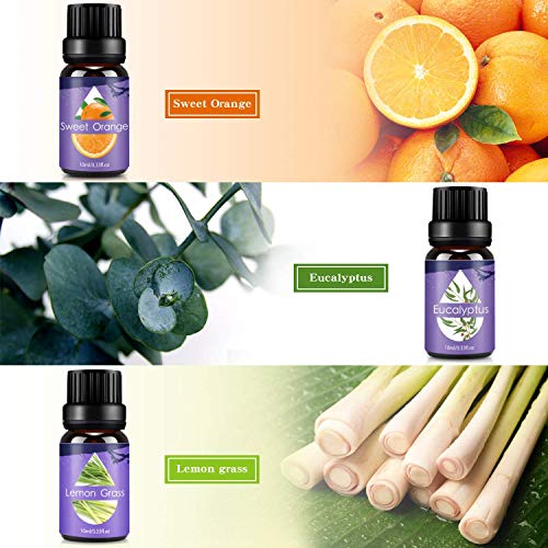 Aceites Esenciales, 100% Puros y Naturales Aromaterapia Aceites Esenciales para Humidificador (Lavanda, Hierba de Limón, Menta, Eucalipto, Árbol de té, Naranja dulce) 6 x 10 ml