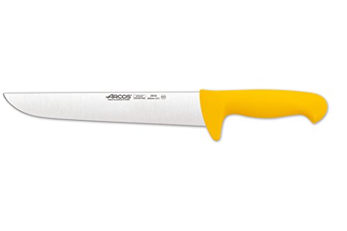 Arcos 2900 - Cuchillo de carnicero, 250 mm (f.display)