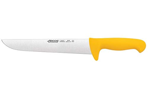 Arcos 2900 - Cuchillo de carnicero, 250 mm (f.display)