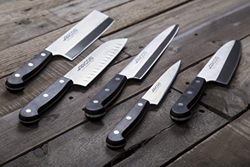 Arcos Universal - Cuchillo Yanagiba, 240 mm (estuche)