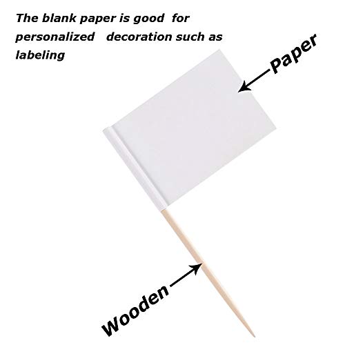 AYE Mini Banderas con Palillos,Toothpick Flags 200 Piezas Etiquetas de Marcar para Pastel de Fiesta Comida de Queso Decoraciones