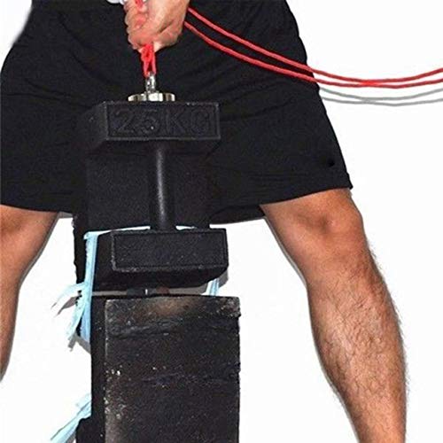 Ballylelly 160Kg NdFeB Imanes Detector de imán de Metal de neodimio de Doble Lado de Acero Pesca + 10M Cuerda
