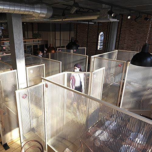 Biombo Separador Anticontagio para Bares y restaurantes 70x180cm Fabricado en España