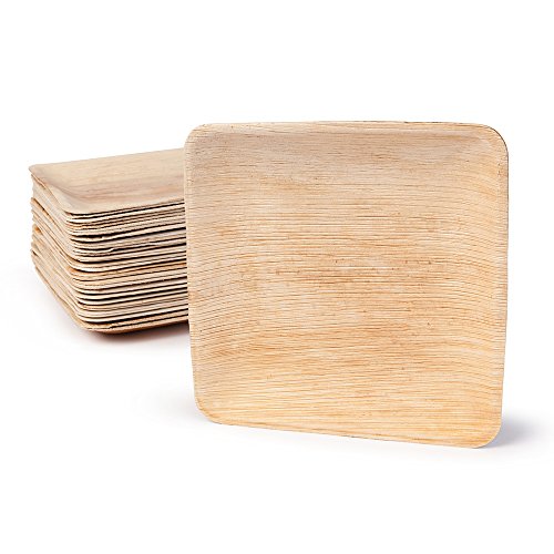BIOZOYG DTW05359 Plato de Hoja de Palma, 25 uds, Cuadrado, 20x20 cm, Biodegradable