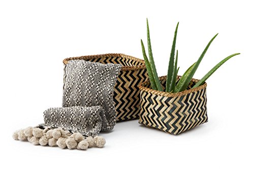 Black Velvet Studio Cesto Malé bambú, Color Natural y Negro. Cuadrado, Diseño en zig Zag Blanco y Negro 16x21x21 cm.