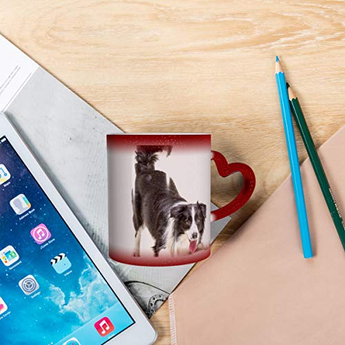 Border Collie Puppy Cat Pet Heat Exchange Magic Coffee Cup Un nuevo regalo de 11 onzas para familiares, niños y amigos