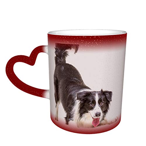 Border Collie Puppy Cat Pet Heat Exchange Magic Coffee Cup Un nuevo regalo de 11 onzas para familiares, niños y amigos