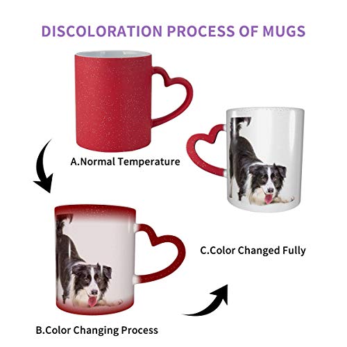 Border Collie Puppy Cat Pet Heat Exchange Magic Coffee Cup Un nuevo regalo de 11 onzas para familiares, niños y amigos