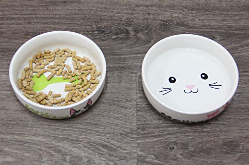 BPS 2X Comedero Bebedero Cerámica Tamaño S para Gato Perro Pequeño Mascotas Producto Alimentación con Diseño Profesional Color Blanco 12 x 4 cm Color Envia al Azar BPS-11200 * 2