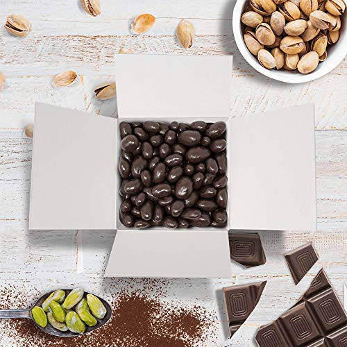 Bulk Gourmet Emporium - Pistachos tostados bañados en chocolate negro, producto vegetariano, halal y sin envase de plástico, 450 gr