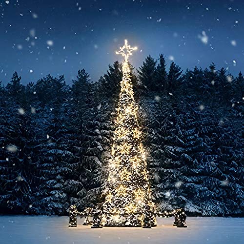 Cadena de luces Cortina LED, 2.5m x 1m Estrellas Blanco Cálido Guirnaldas Luces Pilas luminosas de Exterior, 138 LED Luces de Hadas Decoración para Habitacion, Fiestas, Bodas, Infantil, Navidad