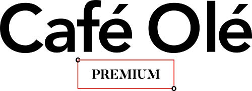 Cafe Ole PT-013 - Tetera de acero inoxidable 18/10, 13 fuentes, boquilla antigoteo, asas huecas y tapa abatible