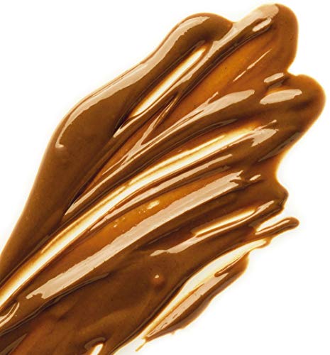 Callebaut Fina Avellana Praliné Pasta 1x1kg