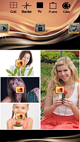 Collage de fotos de cactus