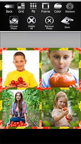 Collage de fotos de tomates