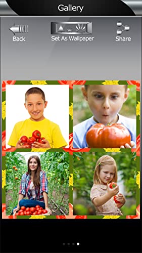 Collage de fotos de tomates