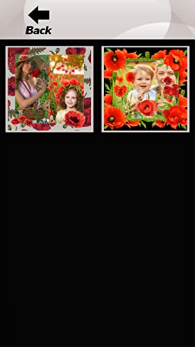 Collage de la foto de la amapola