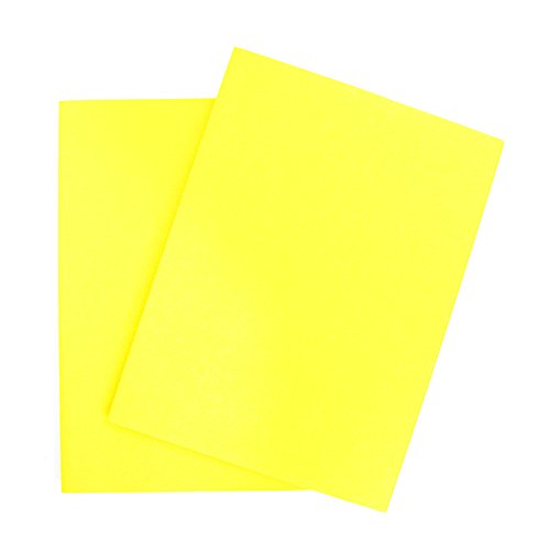 com-four® Papel de Polilla 60x, Tope de Polilla, protección para Sus Cosas de Lana, Abrigos, Vestidos, Pieles (60 Hojas de Papel de Polilla)