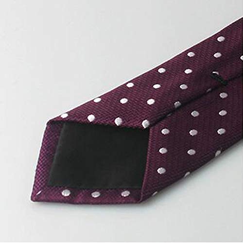 Corbata/Traje de Negocios para Hombre Corbata Profesional/Nudo de Trabajo Corbata de Novio de Boda/Corbata de poliéster/Cosida a Mano LJJOZ (Color : B)