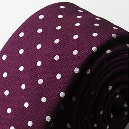 Corbata/Traje de Negocios para Hombre Corbata Profesional/Nudo de Trabajo Corbata de Novio de Boda/Corbata de poliéster/Cosida a Mano LJJOZ (Color : B)