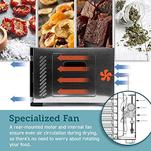 COSORI Deshidratador de Alimentos con 6 Bandejas de Acero Inoxidable, Temporizador 48h, 35° -75° C, Secador de Fruta 650W con 3 Bases para Rollos de Frutas, 3 Tamices de Malla, 50 Recetas, sin BPA