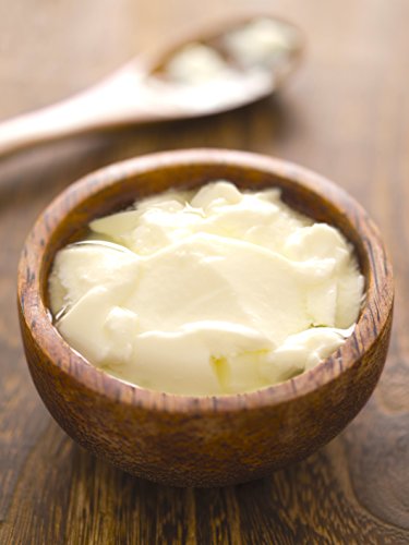 Cultivos de yogur – Bolsitas de cultivo liofilizado para preparar Bifido-yogur (paquete de 10 bolsitas).