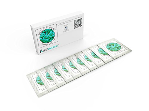 Cultivos de yogur – Bolsitas de cultivo liofilizado para preparar Bifido-yogur (paquete de 10 bolsitas).