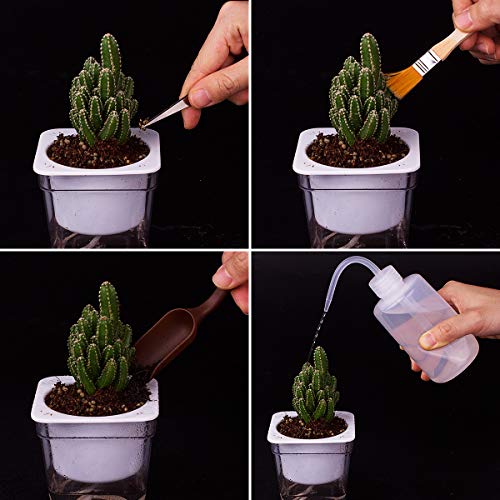 Danolt de 7 Piezas Juego de Herramientas de jardín, Mini Herramientas de jardinería manuales para plántulas, Bonsai, suculentas, Hierbas, siembra, Cultivo en Invernadero.