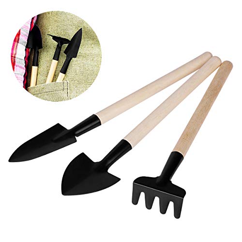 Danolt de 7 Piezas Juego de Herramientas de jardín, Mini Herramientas de jardinería manuales para plántulas, Bonsai, suculentas, Hierbas, siembra, Cultivo en Invernadero.