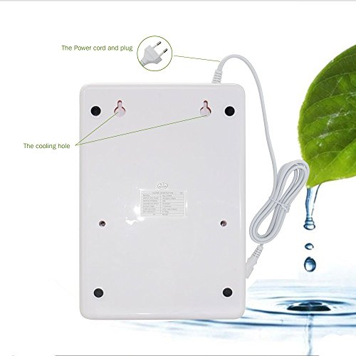 D&F Ozonator Ozone Generator - Purificador De Aire | Esterilizador Más Limpio para Agua, Verduras, Frutas Y Más600 MG/H,S