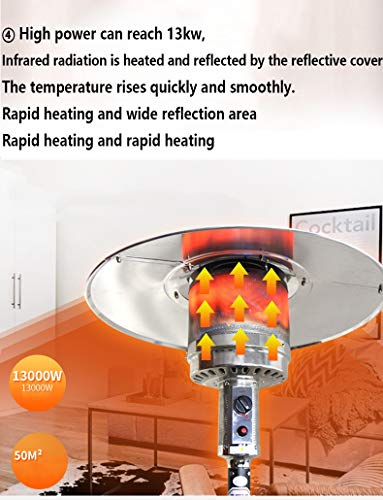 Eco Class Heaters GH Estufa de Gas Exterior, Gris,Elegante Diseño Resistente A la Intemperie, Apto Interior Exterior, Plateado,Chimenea Acero Inoxidable para LPG (Size : C)