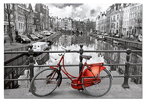 Educa Borras - Serie Coloured B&W, Puzzle 1.000 piezas Ámsterdam (14846)