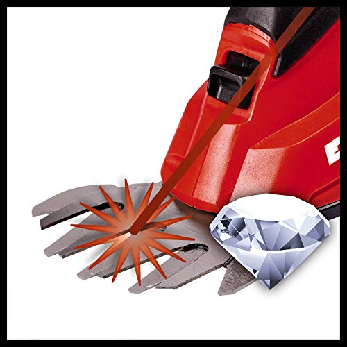 Einhell Expert GE-CG 18 Li Solo - Tijera de césped inalámbrica (10 cm, 20 cm), color rojo