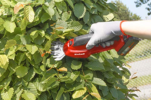 Einhell Expert GE-CG 18 Li Solo - Tijera de césped inalámbrica (10 cm, 20 cm), color rojo