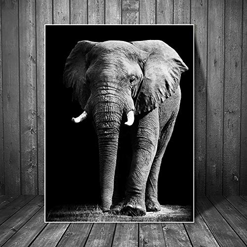 Elefante Pinturas sobre lienzo Animales en blanco y negro Carteles e impresiones de pared Cuadros de pared para sala de estar Sin marco