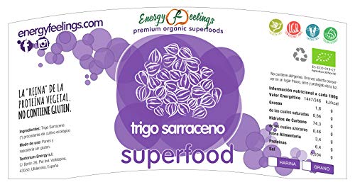 Energy Feelings Harina de Trigo Sarraceno Eco - 1 Kg