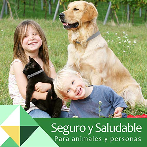 Fenvella Collar Antiparasitos Perro, 71cm Ajustable Collar Antipulgas para Pequeños, Medianos, Grandes Gatos y Perros, Impermeable y Prevención de 8 Meses contra Pulgas, Garrapatas y Mosquitos.