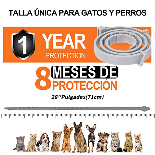 Fenvella Collar Antiparasitos Perro, 71cm Ajustable Collar Antipulgas para Pequeños, Medianos, Grandes Gatos y Perros, Impermeable y Prevención de 8 Meses contra Pulgas, Garrapatas y Mosquitos.