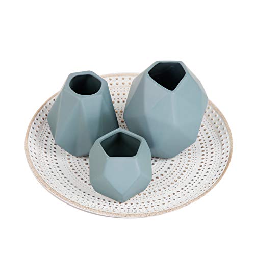 Flanacom - Bandeja decorativa con adornos como decoración de mesa moderna para la vivienda
