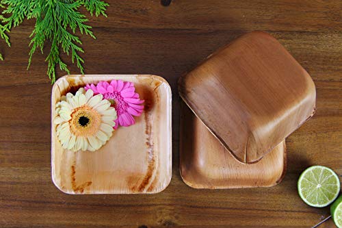 FOOGO Green 25 Cuencos de hoja de palma Desechable|12cm Bol Ensaladera, Tazas de Postre Cuadrado |Vajilla Ecológico Biodegradable Duro|Como Platos Bambu, Vasos plástico, papel|Fiesta de Bodas
