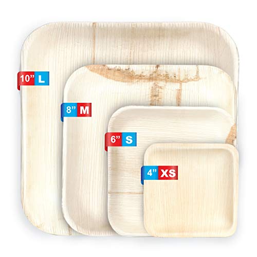 FOOGO Green 25 Platos de hoja de palma Desechable|20cm Cuadrado Duro| Vajilla Ecológico Biodegradable|Como platos de bambu, Platos de plástico, Platos de papel|Para la Fiesta de Bodas,Camping