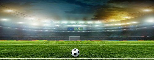 Fotomural Vinilo Pared Campo de Fútbol 200x150cm | Ideal para la decoración de comedores, Salones, Habitaciones | Mural Económico y Original